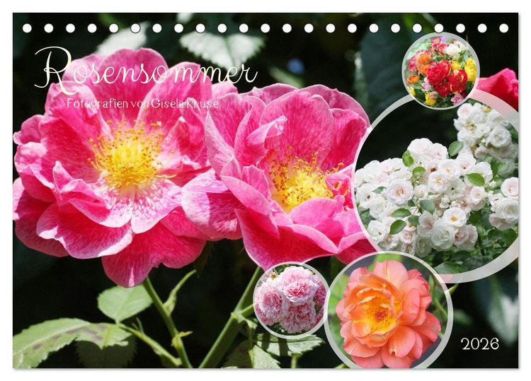 Produktbild: Rosensommer (Tischkalender 2026 DIN A5 quer), CALVENDO Monatskalender