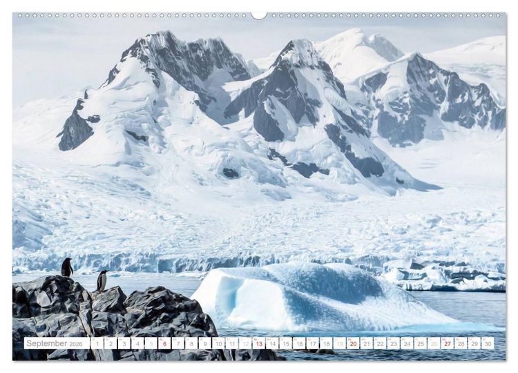 Produktbild: Antarktis - Das Reich der Pinguine (hochwertiger Premium Wandkalender 2026 DIN A2 quer), Kunstdruck in Hochglanz