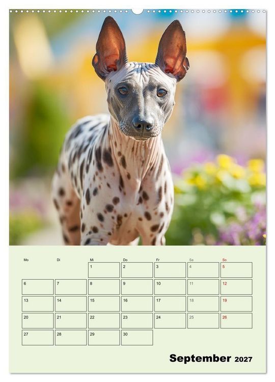 Produktbild: Xolos. Seelenhunde aus Mexiko (Wandkalender 2027 DIN A2 hoch), CALVENDO Monatskalender