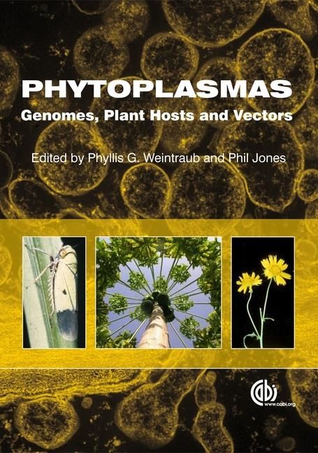 Produktbild: Phytoplasmas
