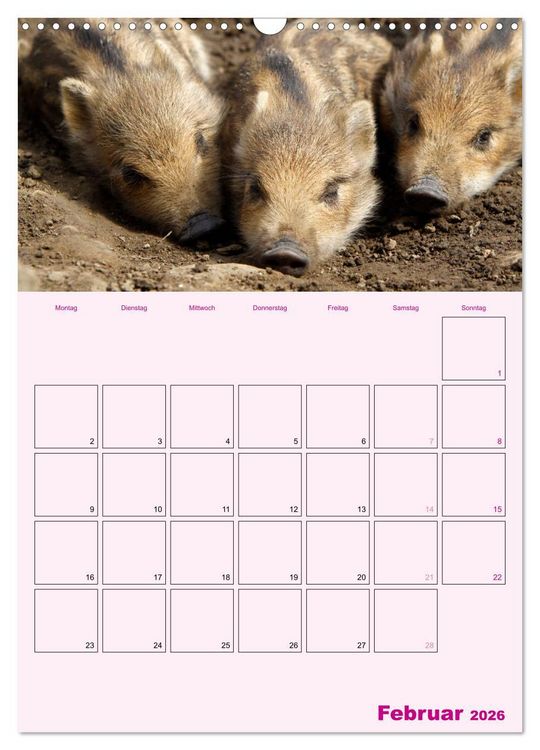 Produktbild: Schweinischer Terminplaner (Wandkalender 2026 DIN A3 hoch), CALVENDO Monatskalender