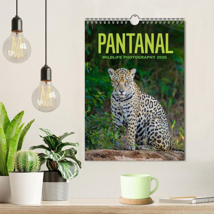 Produktbild: Pantanal Wildlife Photography (Wall Calendar 2026 DIN A4 portrait), CALVENDO 12 Month Wall Calendar