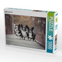 Produktbild: CALVENDO Puzzle Welsh Corgi Trio 1000 Teile Lege-Gr&ouml;&szlig;e 64 x 48 cm Foto-Puzzle Bild von Maria Ahrens