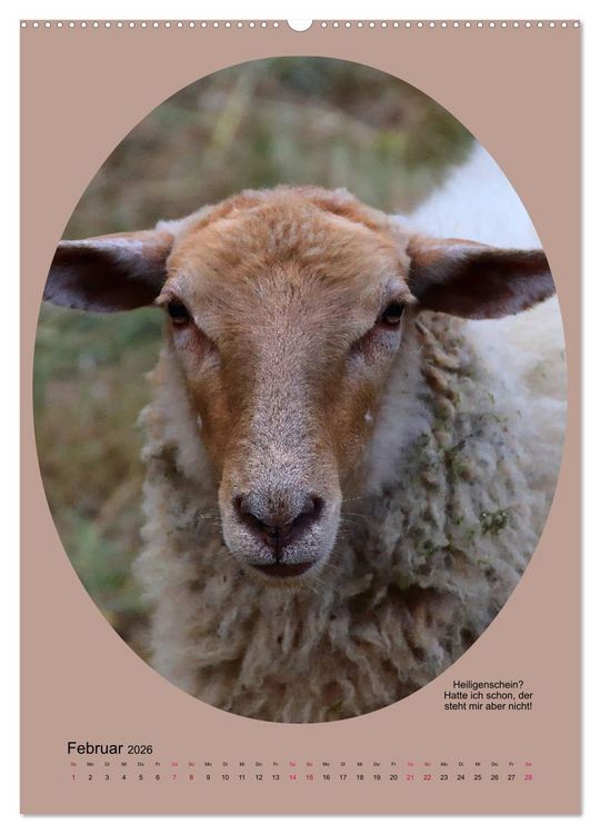 Produktbild: Scharfe Portraits (hochwertiger Premium Wandkalender 2026 DIN A2 hoch), Kunstdruck in Hochglanz