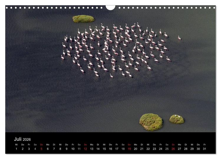 Produktbild: V&ouml;gel & Landschaften (Wandkalender 2026 DIN A3 quer), CALVENDO Monatskalender