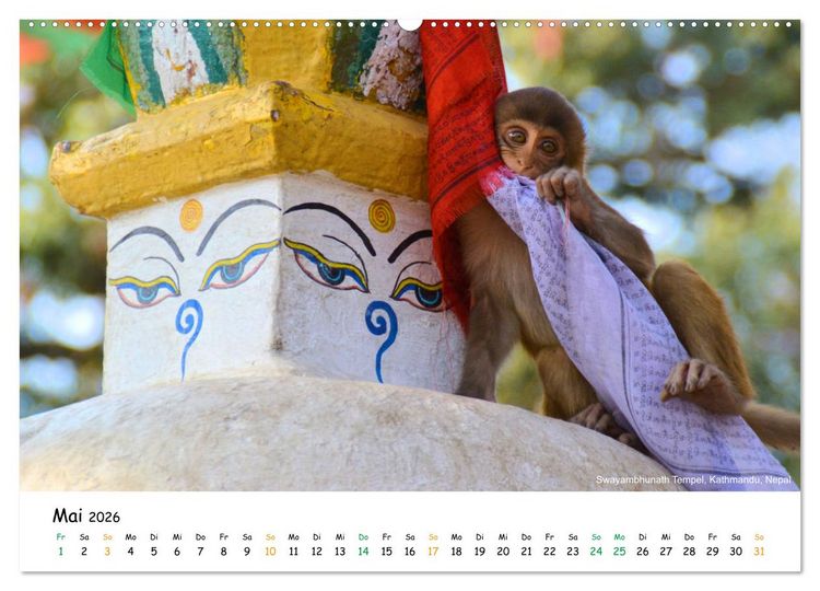 Produktbild: Bezauberndes Asien 2026 (Wandkalender 2026 DIN A2 quer), CALVENDO Monatskalender