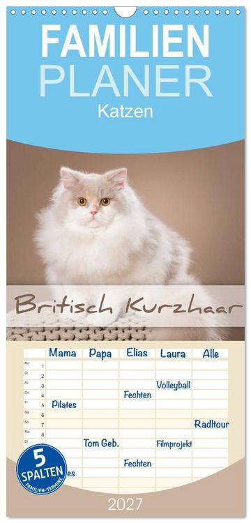 Produktbild: Familienplaner 2027 - Die Britisch Kurzhaar Katze mit 5 Spalten (Wandkalender, 21 x 45 cm) CALVENDO