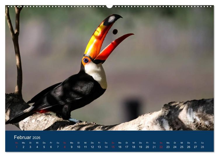 Produktbild: Brasilien tierisch gut 2026 (hochwertiger Premium Wandkalender 2026 DIN A2 quer), Kunstdruck in Hochglanz