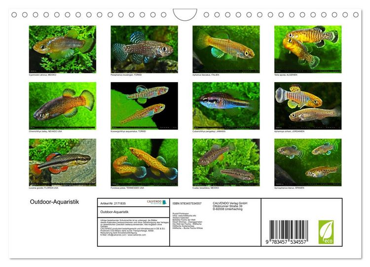 Produktbild: Outdoor-Aquaristik (Wandkalender 2026 DIN A4 quer), CALVENDO Monatskalender