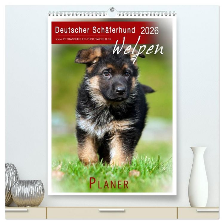 Produktbild: Deutscher Sch&auml;ferhund - Welpen, Planer (hochwertiger Premium Wandkalender 2026 DIN A2 hoch), Kunstdruck in Hochglanz