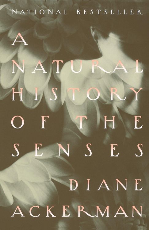 Produktbild: A Natural History of the Senses