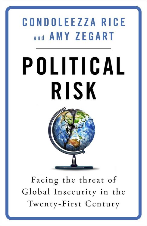 Produktbild: Political Risk