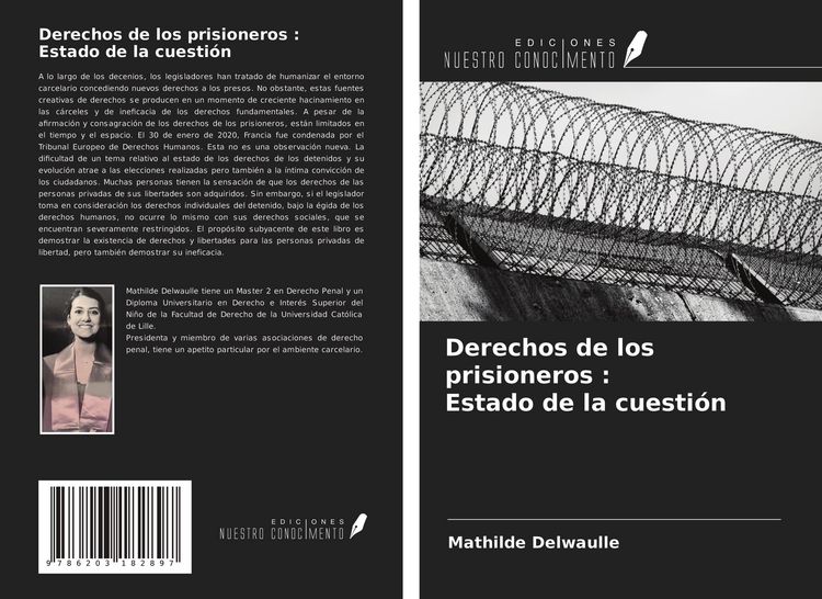 Produktbild: Derechos de los prisioneros : Estado de la cuesti&oacute;n