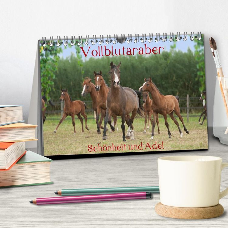 Produktbild: Vollblutaraber - Sch&ouml;nheit und Adel (Tischkalender 2026 DIN A5 quer), CALVENDO Monatskalender