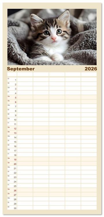 Produktbild: Familienplaner 2026 - Katzen - sanfte Sch&ouml;nheiten mit 5 Spalten (Wandkalender, 21 x 45 cm) CALVENDO
