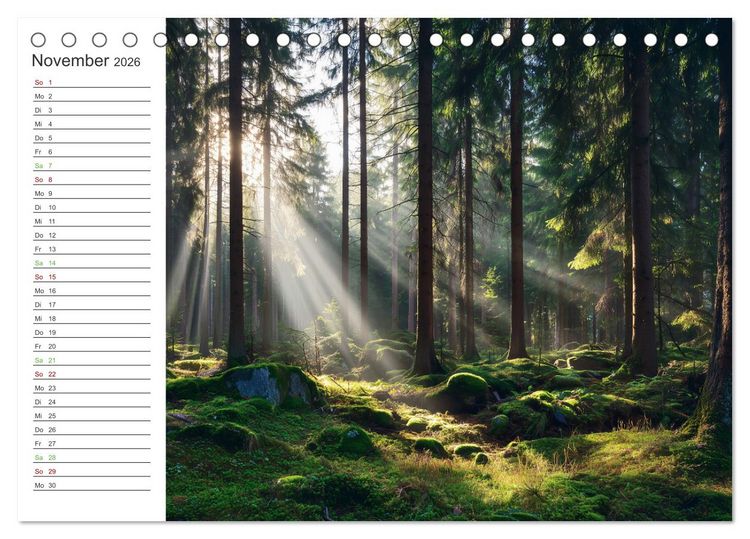 Produktbild: Gr&uuml;ne Zukunft (Tischkalender 2026 DIN A5 quer), CALVENDO Monatskalender