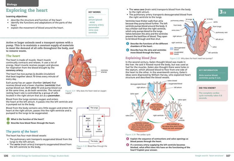 Produktbild: GCSE SCIENCE-AQA GCSE (9-1) B_