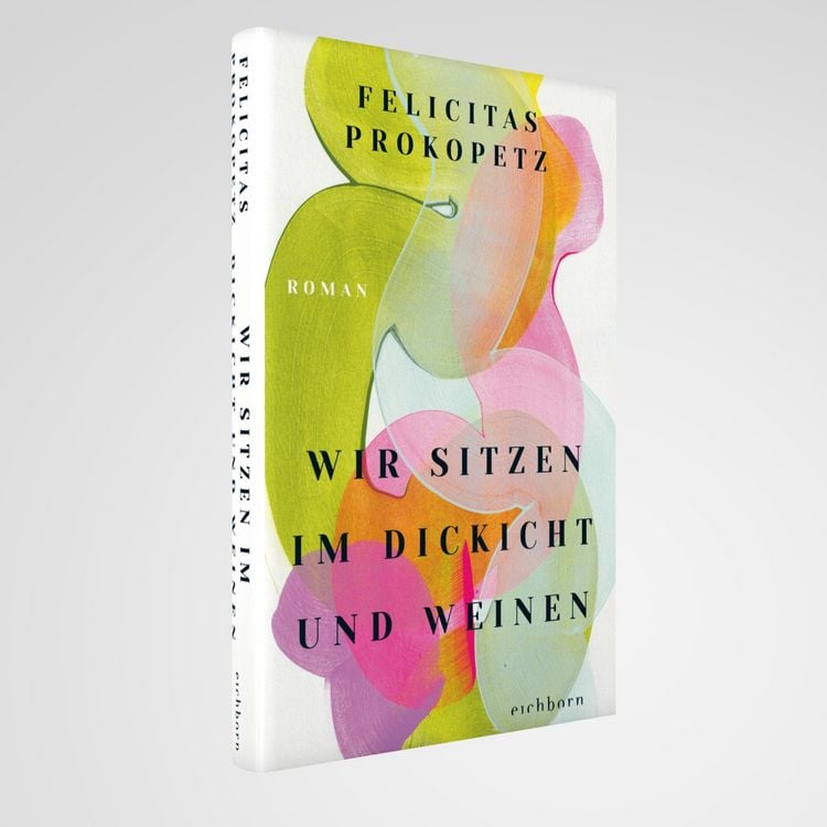Produktbild: Wir sitzen im Dickicht und weinen
