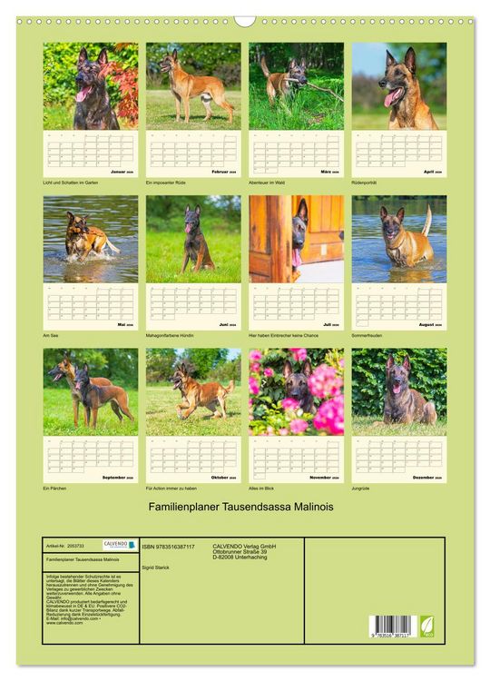 Produktbild: Familienplaner Tausendsassa Malinois (Wandkalender 2026 DIN A2 hoch), CALVENDO Monatskalender