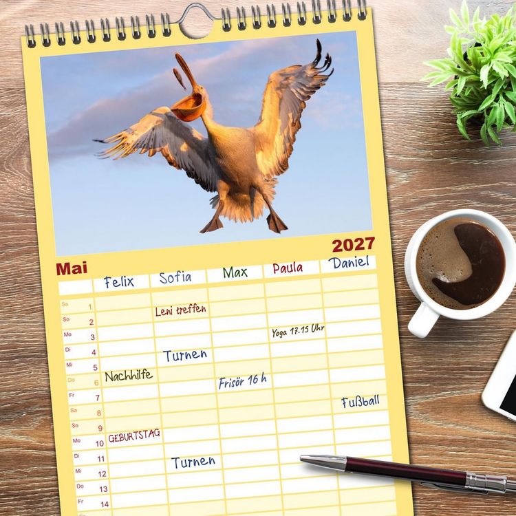 Produktbild: Familienplaner 2027 - Krauskopfpelikane mit 5 Spalten (Wandkalender, 21 x 45 cm) CALVENDO