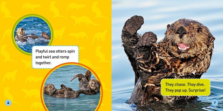 Produktbild: Explore My World: Sea Otters