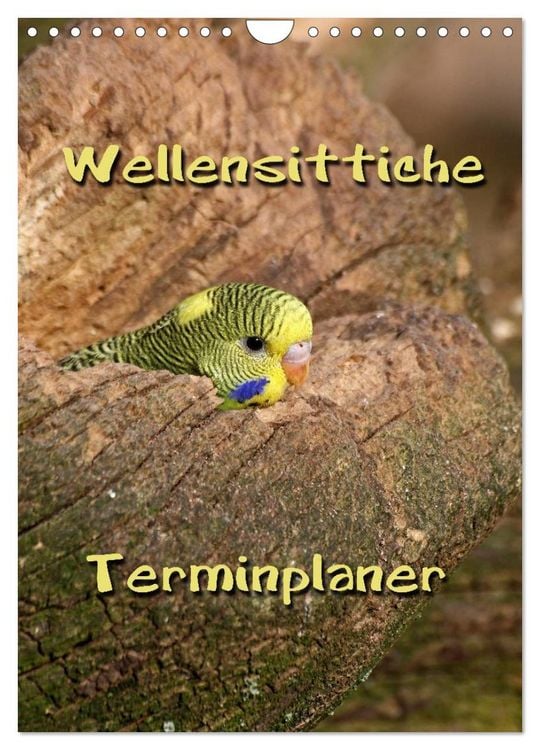 Produktbild: Wellensittiche Terminplaner (Wandkalender 2026 DIN A4 hoch), CALVENDO Monatskalender