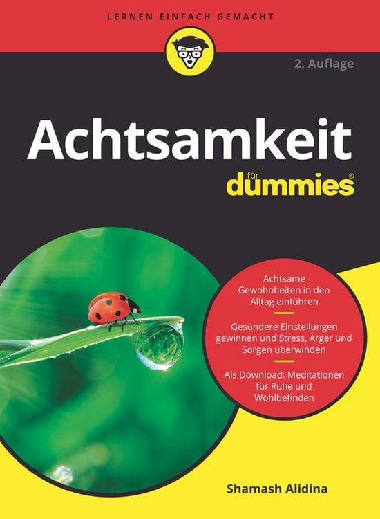 Produktbild: Achtsamkeit für Dummies