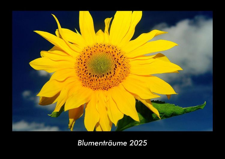 Produktbild: Blumentr&auml;ume 2025 Fotokalender DIN A3