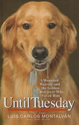 Produktbild: Until Tuesday -Lp