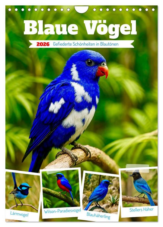 Produktbild: Blaue V&ouml;gel (Wandkalender 2026 DIN A4 hoch), CALVENDO Monatskalender