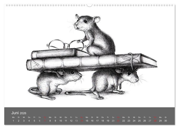 Produktbild: owls & friends 2026 (hochwertiger Premium Wandkalender 2026 DIN A2 quer), Kunstdruck in Hochglanz