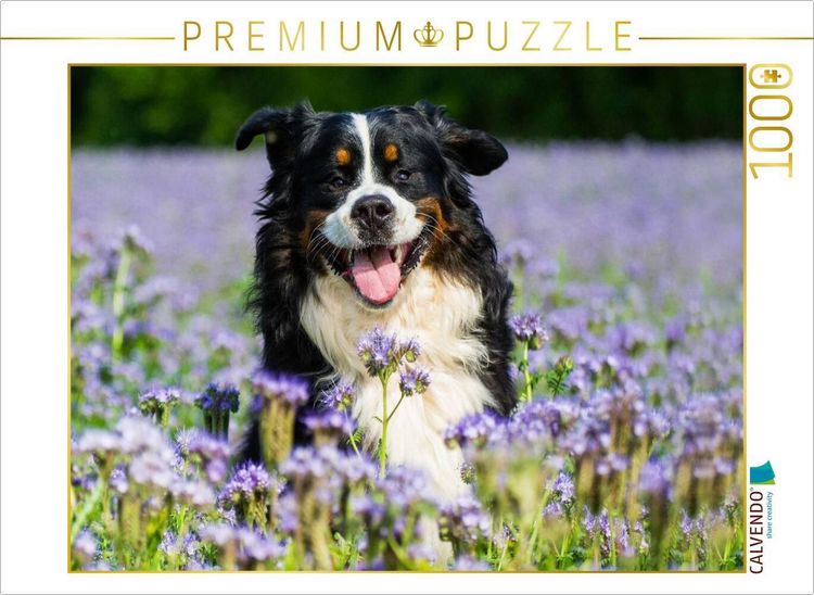 Produktbild: CALVENDO Puzzle Traumhund Berner Sennenhund | 1000 Teile Lege-Gr&ouml;&szlig;e 64x48cm Foto-Puzzle f&uuml;r gl&uuml;ckliche Stunden
