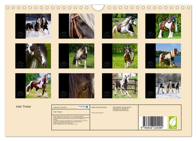 Produktbild: Irish Tinker (Wandkalender 2026 DIN A4 quer), CALVENDO Monatskalender