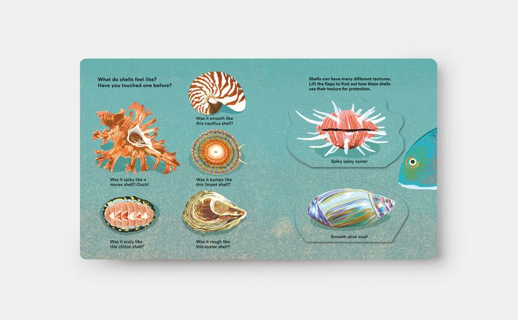 Produktbild: Shells... and what they hide inside
