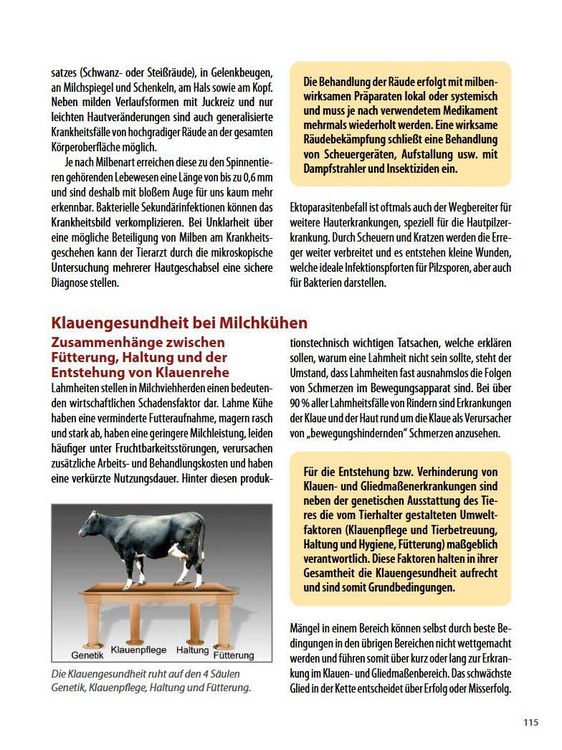 Produktbild: Die h&auml;ufigsten Nutztierkrankheiten