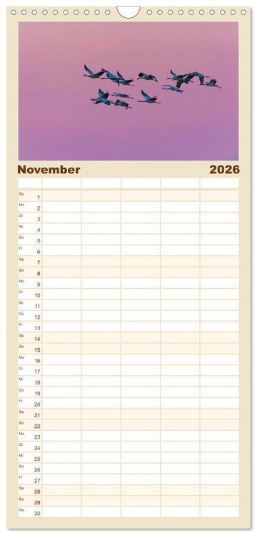 Produktbild: Familienplaner 2026 - Mit Kranichen durch das Jahr mit 5 Spalten (Wandkalender, 21 x 45 cm) CALVENDO