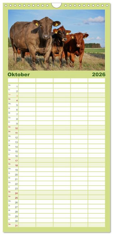 Produktbild: Familienplaner 2026 - Weiderinder im Frankenwald mit 5 Spalten (Wandkalender, 21 x 45 cm) CALVENDO