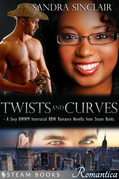 Produktbild: Twists and Curves - A Sexy BWWM Interracial BBW Romance Novella from Steam Books