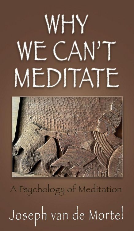 Produktbild: Why We Can't Meditate
