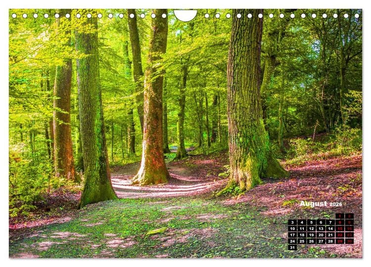 Produktbild: Rund um den Sch&ouml;nbuch (Wandkalender 2026 DIN A4 quer), CALVENDO Monatskalender
