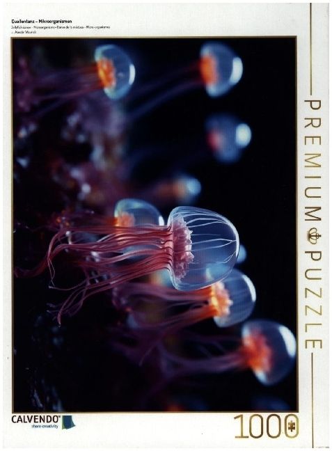 Produktbild: CALVENDO Puzzle Quallentanz - Mikroorganismen | 1000 Teile Lege-Gr&ouml;&szlig;e 64x48cm Foto-Puzzle f&uuml;r gl&uuml;ckliche Stunden