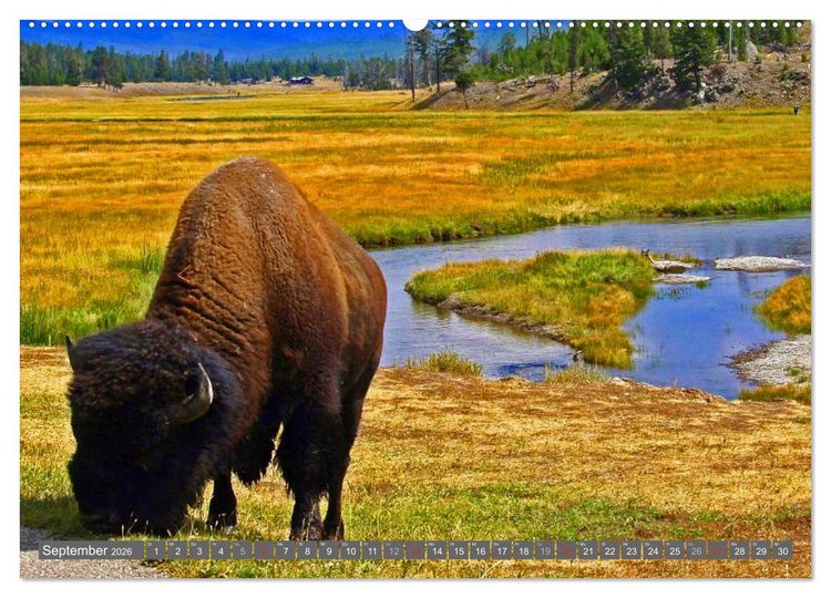 Produktbild: Wyoming &bull; Impressionen (hochwertiger Premium Wandkalender 2026 DIN A2 quer), Kunstdruck in Hochglanz