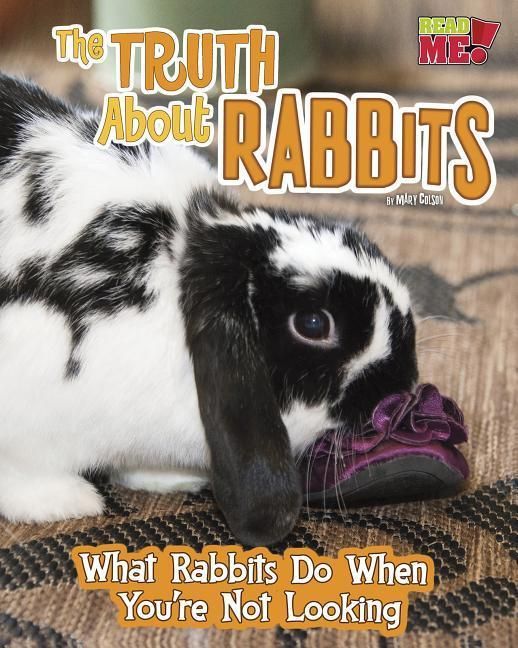 Produktbild: The Truth about Rabbits