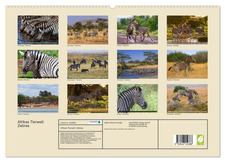 Produktbild: Afrikas Tierwelt: Zebras (hochwertiger Premium Wandkalender 2026 DIN A2 quer), Kunstdruck in Hochglanz