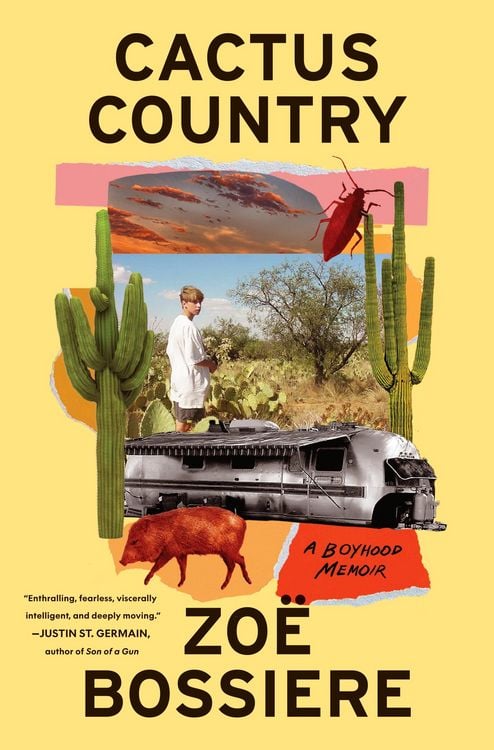 Produktbild: Cactus Country