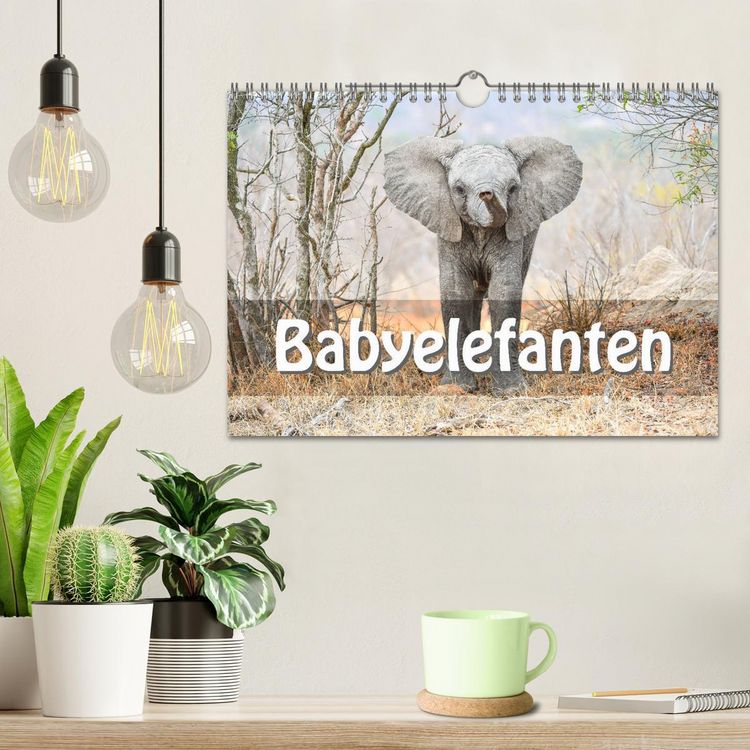 Produktbild: Babyelefanten (Wandkalender 2026 DIN A4 quer), CALVENDO Monatskalender