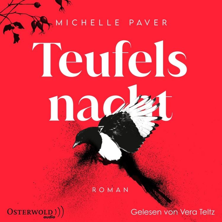Produktbild: Teufelsnacht