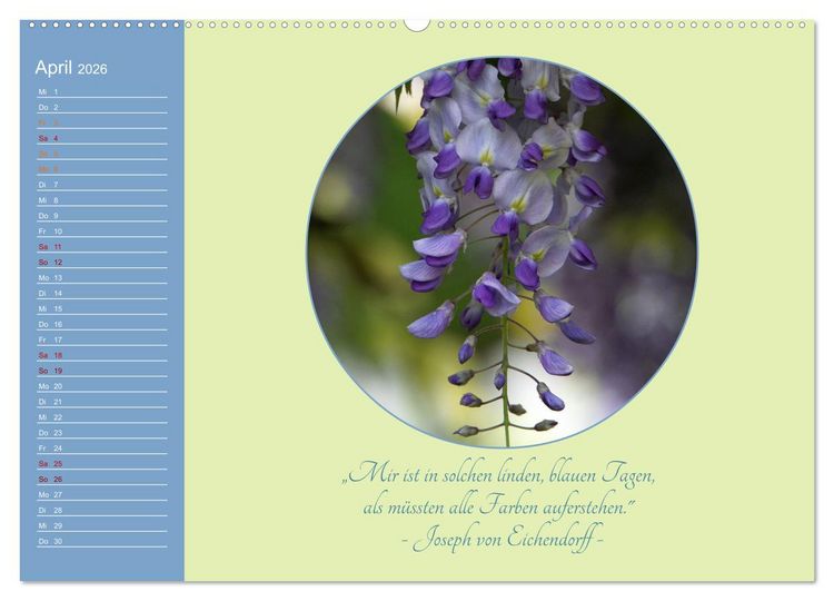 Produktbild: Flora in royalem Blau (Wandkalender 2026 DIN A2 quer), CALVENDO Monatskalender