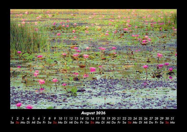 Produktbild: Rosen-Kalender 2026 Fotokalender DIN A3