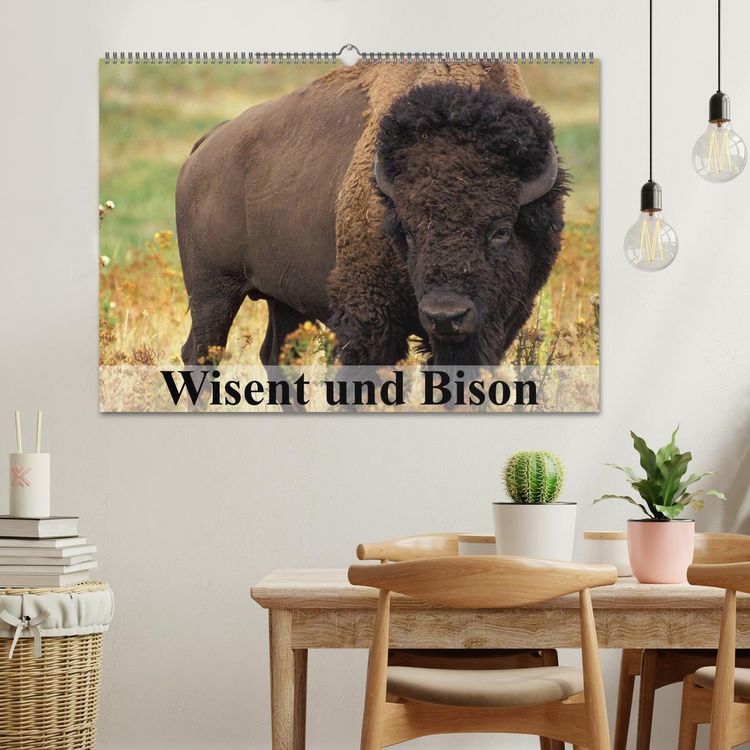 Produktbild: Wisent und Bison (Wandkalender 2026 DIN A2 quer), CALVENDO Monatskalender